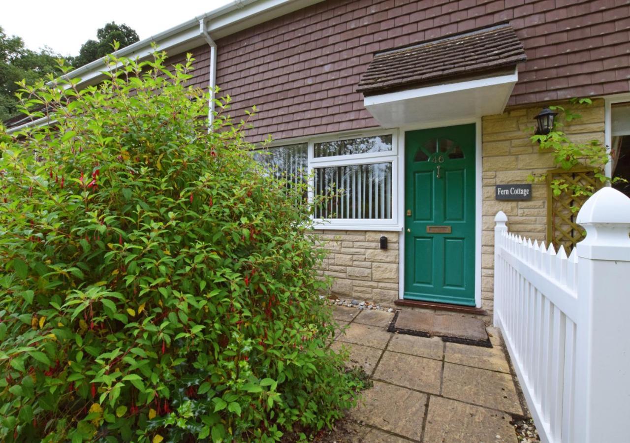 Fern Cottage Charmouth Dış mekan fotoğraf