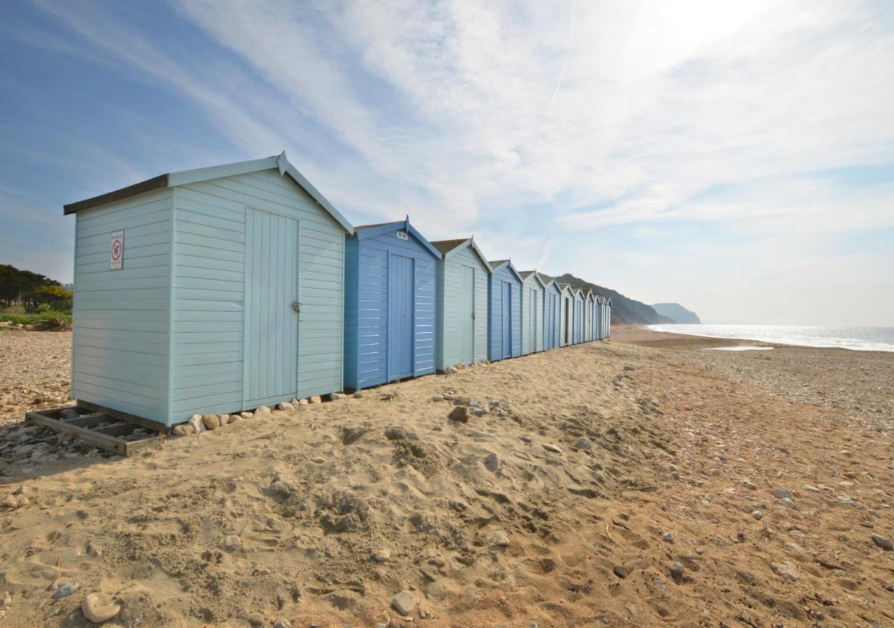 Fern Cottage Charmouth Dış mekan fotoğraf